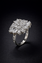 Vellorene Ice Bloom Crystal Ring – Silver-Tone Statement Fashion Jewellery